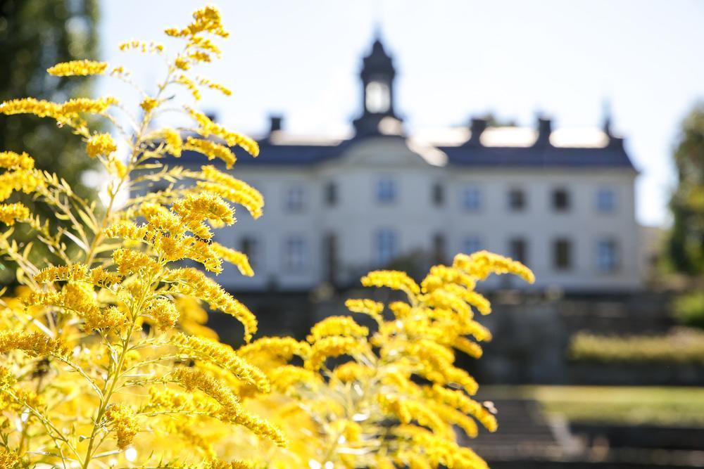 Kaggeholms Slott Bed and Breakfast Ekerö Esterno foto